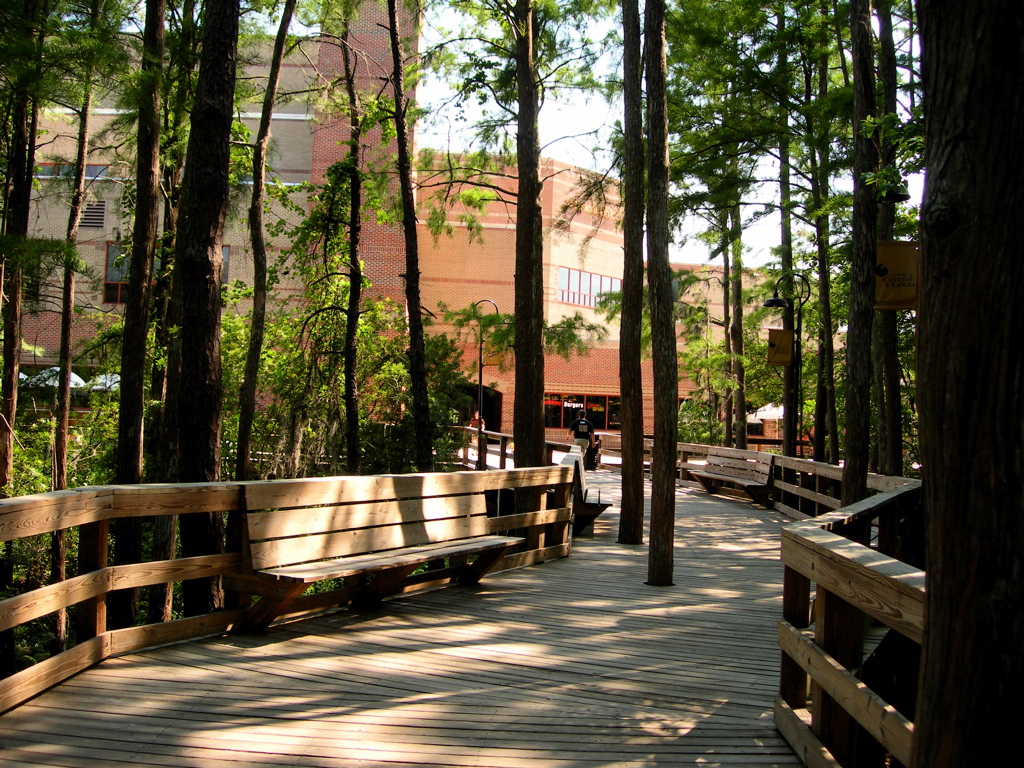 https://commons.wikimedia.org/wiki/File:UCF_Student_Union_Boardwalk.jpg